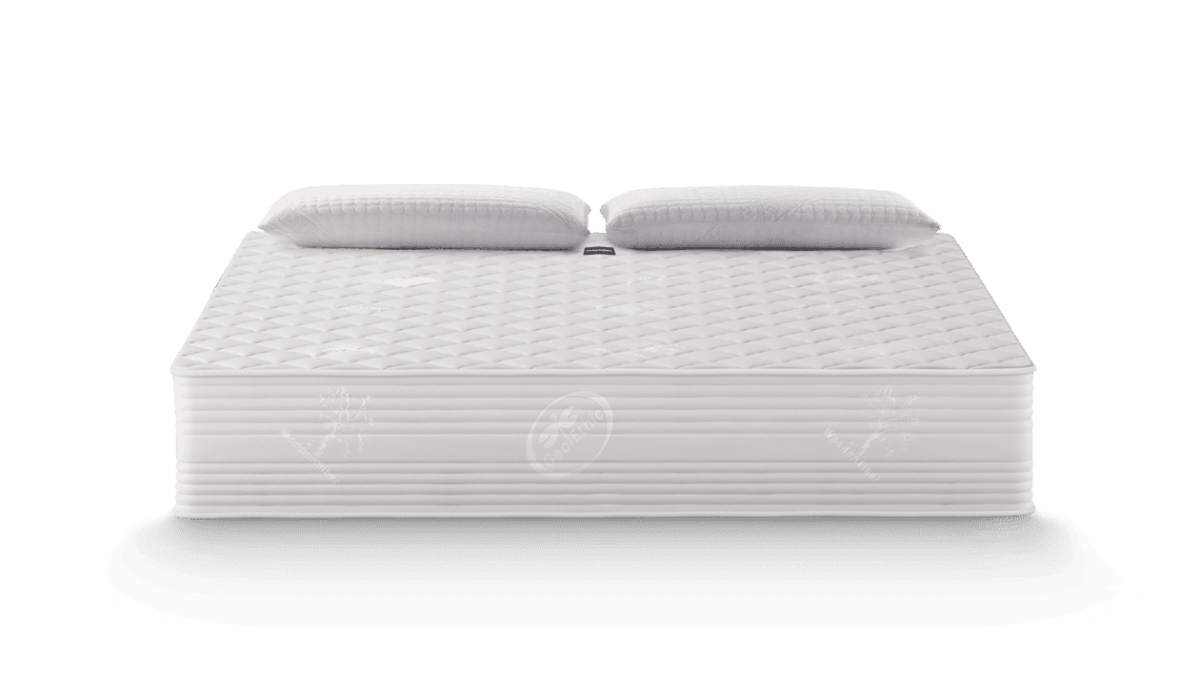 Матрак Magniflex NATURCOMFORT DELUXE