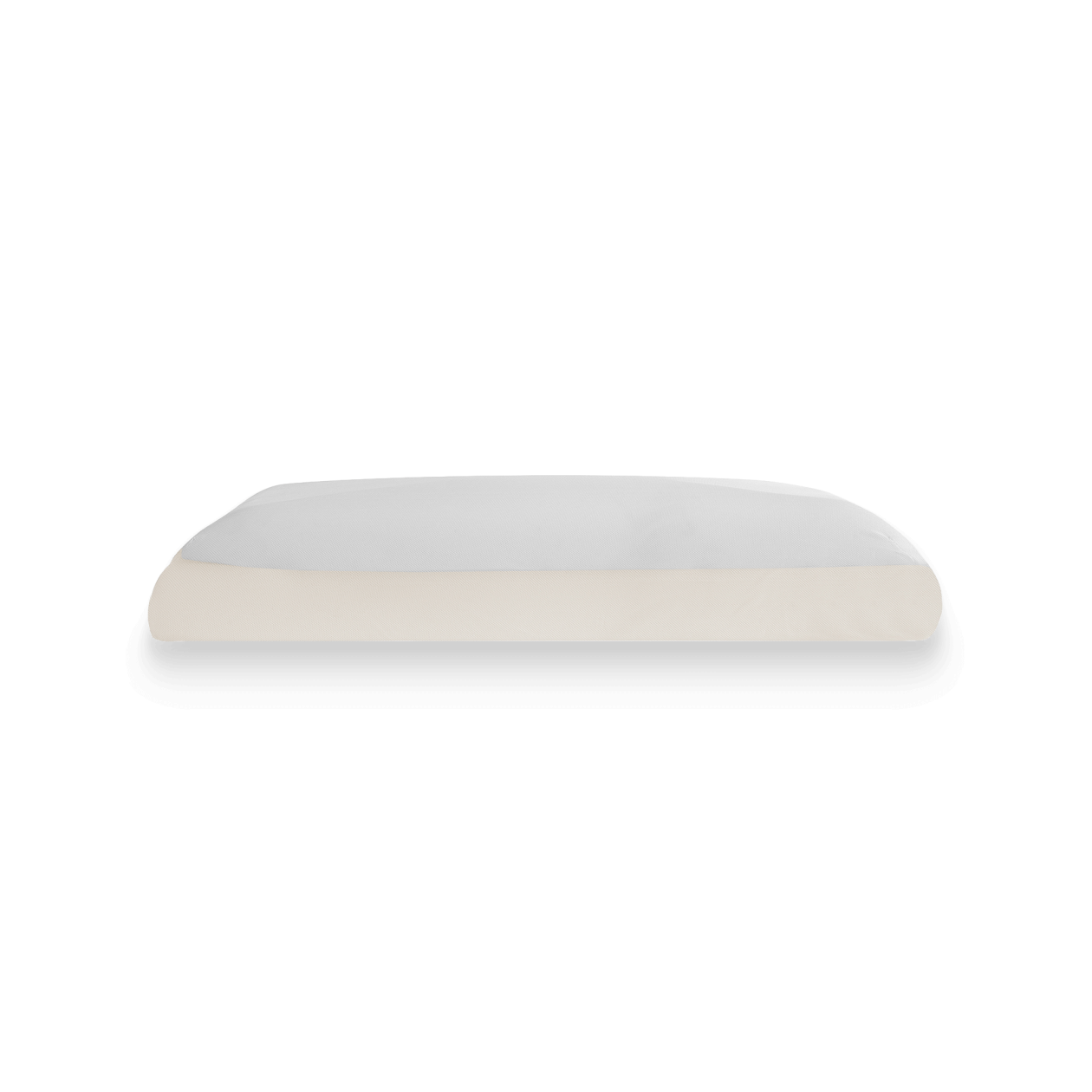 MAGNISTRETCH L